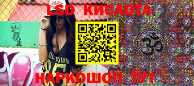 крисы Кулебаки