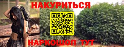 крисы Кулебаки