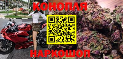 крисы Кулебаки